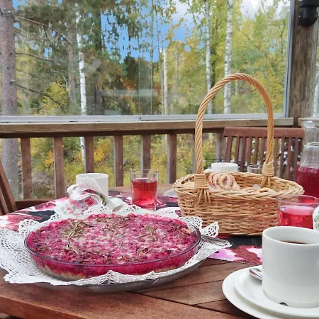 Sakarinniemi- Vaikon Loma 5 By Interhome Ferienhaus *